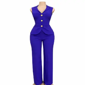 Sleeveless Waistcoat Pant Suit - Blue